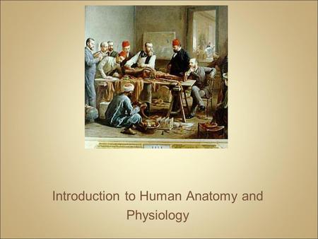 Introduction to Human Anatomy and Physiology. Anatomy – the structure of body parts (also called Morphology) Physiology – the function of the body parts,