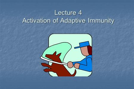 Lecture 4 Activation of Adaptive Immunity. Overview In order to initiate an immune response antigen must be recognized. In order to initiate an immune.