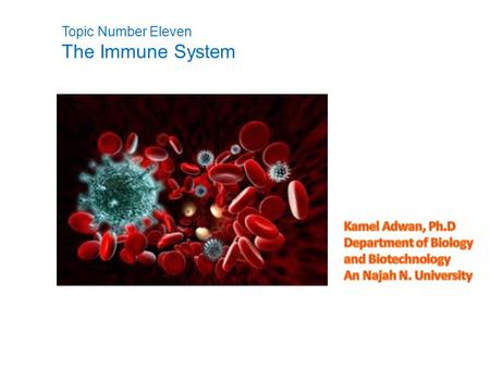 Topic Number Eleven The Immune System.