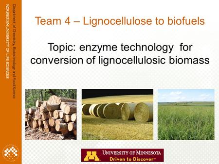 NORWEGIAN UNIVERSITY OF LIFE SCIENCES www.umb.no Department of Chemistry, Biotechnology and Food Science Team 4 – Lignocellulose to biofuels Topic: enzyme.
