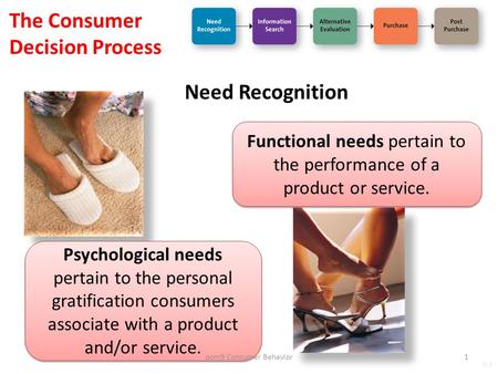 Functional needs pertain to the performance of a product or service.