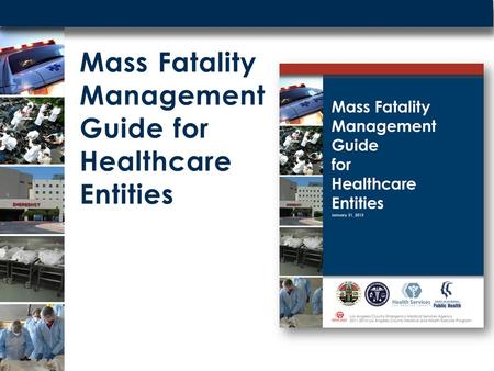 Mass Fatality Management Guide for Healthcare Entities.