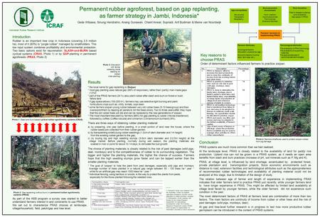 Permanent rubber agroforest, based on gap replanting, as farmer strategy in Jambi, Indonesia* Gede Wibawa, Sinung Hendratno, Anang Gunawan, Chairil Anwar,