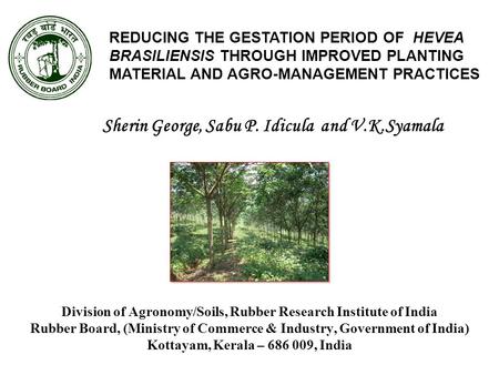 REDUCING THE GESTATION PERIOD OF HEVEA BRASILIENSIS THROUGH IMPROVED PLANTING MATERIAL AND AGRO-MANAGEMENT PRACTICES Sherin George, Sabu P. Idicula and.
