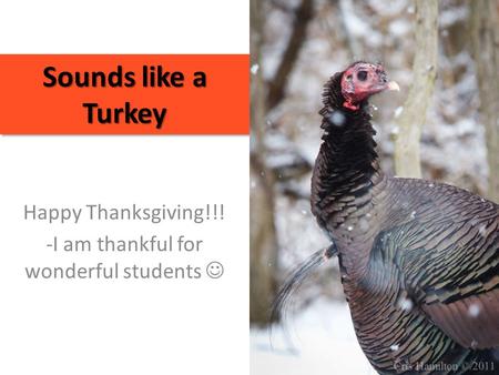 Sounds like a Turkey Happy Thanksgiving!!! -I am thankful for wonderful students.