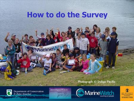 How to do the Survey Photograph © Indigo Pacific.