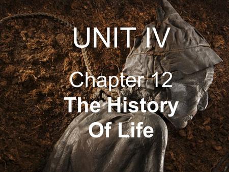UNIT IV Chapter 12 The History Of Life. UNIT 4: EVOLUTION Chapter 12: The History of Life I. The Fossil Record (12.1) A. Fossils can form in several ways.
