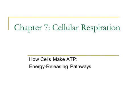 Chapter 7: Cellular Respiration