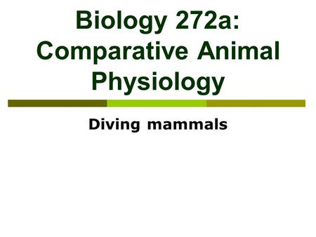 Biology 272a: Comparative Animal Physiology Diving mammals.