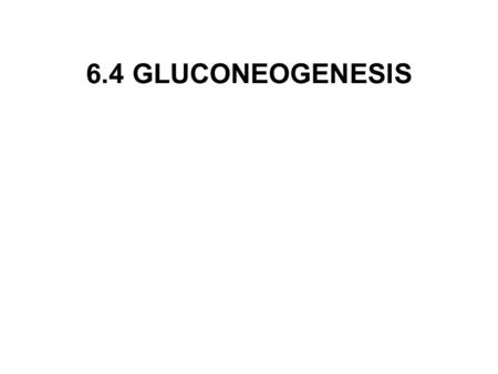 6.4 GLUCONEOGENESIS.