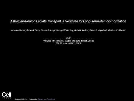 Astrocyte-Neuron Lactate Transport Is Required for Long-Term Memory Formation Akinobu Suzuki, Sarah A. Stern, Ozlem Bozdagi, George W. Huntley, Ruth H.