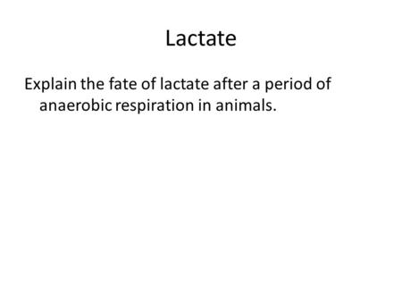 Lactate Explain the fate of lactate after a period of anaerobic respiration in animals.