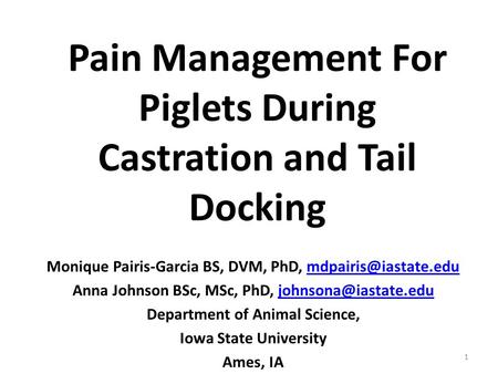 Pain Management For Piglets During Castration and Tail Docking Monique Pairis-Garcia BS, DVM, PhD, Anna Johnson.