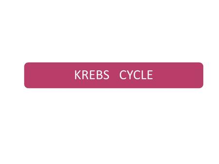 KREBS CYCLE. Introduction Let us review fates of Pyruvate Depending on the oxidation state of the cell: Aerobic – converted to acetyl-CoA via TCA cycle.