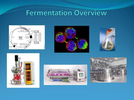 Fermentation Overview