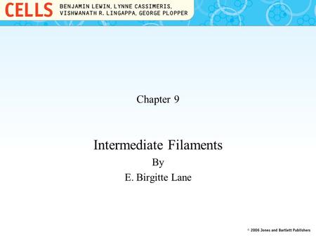 Chapter 9 Intermediate Filaments By E. Birgitte Lane.
