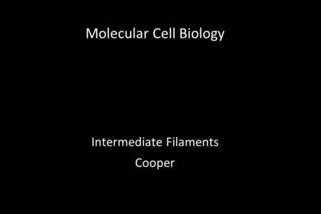 Molecular Cell Biology Intermediate Filaments Cooper.