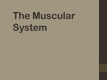The Muscular System. Muscles are responsible for all types of body movement BECAUSE ……….! They contract – get shorter Three basic muscle types are found.