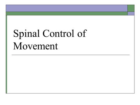 Spinal Control of Movement. Midterm 2 Results Types of Muscles  Smooth – digestive tract, arteries  Striated: Cardiac – accelerates or slows heart.