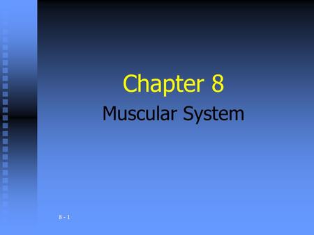 Chapter 8 Muscular System.
