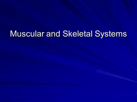 Muscular and Skeletal Systems. I. Muscular System A. Types B. Major Groups.