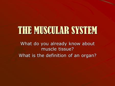 THE MUSCULAR SYSTEM What do you already know about muscle tissue?