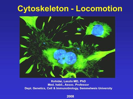Cytoskeleton - Locomotion Kohidai, Laszlo MD, PhD Med. habil., Assoc. Professor Dept. Genetics, Cell & Immunobiology, Semmelweis University 2008.