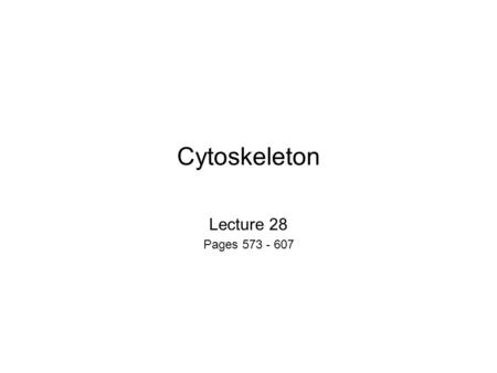 Cytoskeleton Lecture 28 Pages 573 - 607. A cytoskeleton is needed for many many cellular functions, such as; Muscle contraction Permitting sperm to swim.