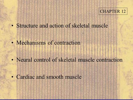 Structure and action of skeletal muscle Mechanisms of contraction