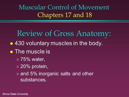 Illinois State University Muscular Control of Movement Chapters 17 and 18 Review of Gross Anatomy: l 430 voluntary muscles in the body. l The muscle is.