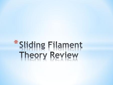 Sliding Filament Theory Review