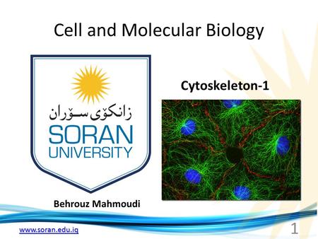 Www.soran.edu.iq Cell and Molecular Biology Behrouz Mahmoudi Cytoskeleton-1 1.