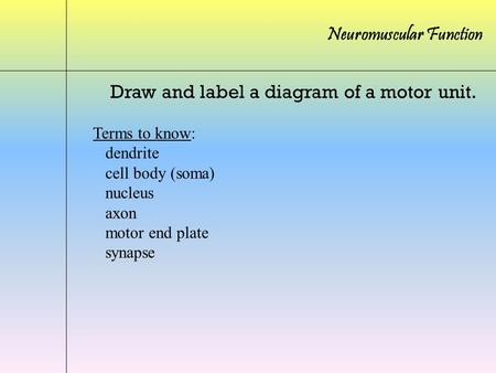 Draw and label a diagram of a motor unit.