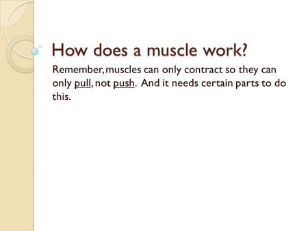 How does a muscle work? Remember, muscles can only contract so they can only pull, not push. And it needs certain parts to do this.