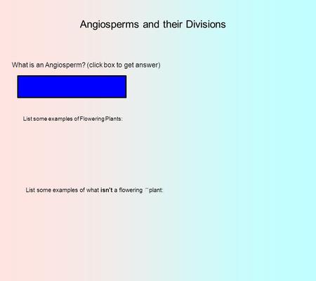 Angiosperms and their Divisions What is an Angiosperm? (click box to get answer) Flowering Plant List some examples of Flowering Plants: List some examples.