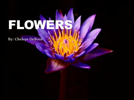 FLOWERS By: Chelsye DeBoor