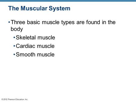 The Muscular System Three basic muscle types are found in the body