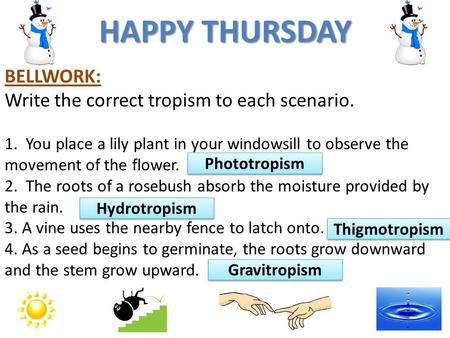 BELLWORK: Write the correct tropism to each scenario. 1. You place a lily plant in your windowsill to observe the movement of the flower. 2. The roots.