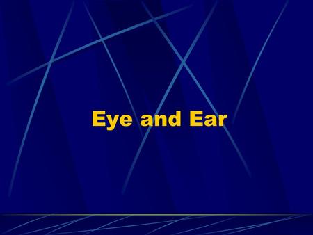 Eye and Ear. 1. Eye 1) The wall of eyeball ① Fibrous tunic: DCT ---cornea: ---sclera: DCT ---corneal limbus(corneoscleral limbus) Cornea: /anterior 1/6.