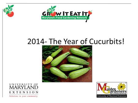 2014- The Year of Cucurbits!. 2 All in the family… Cucumber Summer squash Winter squash Pumpkin Muskmelon and cantaloupe Watermelon Gourds These are.