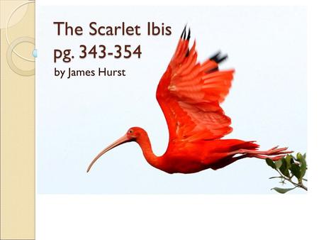 The Scarlet Ibis pg. 343-354 by James Hurst.