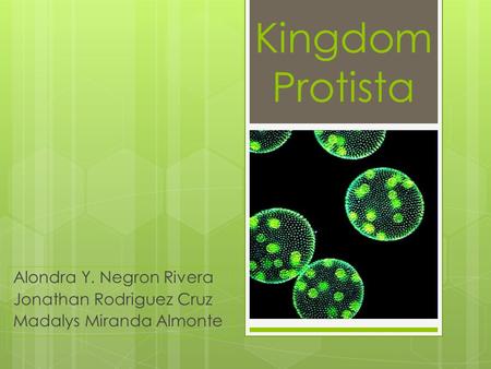 Kingdom Protista Alondra Y. Negron Rivera Jonathan Rodriguez Cruz Madalys Miranda Almonte.