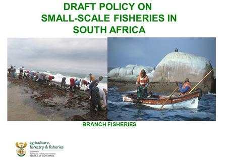 DRAFT POLICY ON SMALL-SCALE FISHERIES IN SOUTH AFRICA BRANCH FISHERIES.