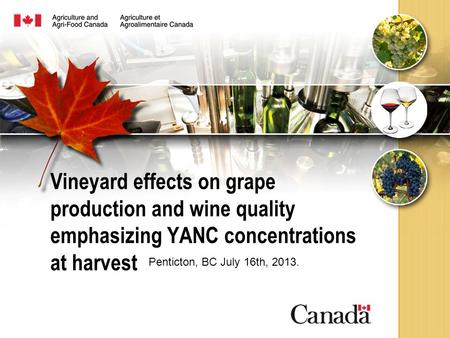 Vineyard effects on grape production and wine quality emphasizing YANC concentrations at harvest Penticton, BC July 16th, 2013.