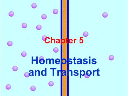 Homeostasis and Transport