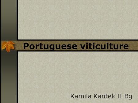 Portuguese viticulture