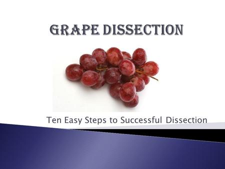 Ten Easy Steps to Successful Dissection.  Dissection kit  Scissors, scalpel(optional), straight needle, tweezers, T pins.
