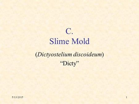5/13/20151 C. Slime Mold (Dictyostelium discoideum) “Dicty”