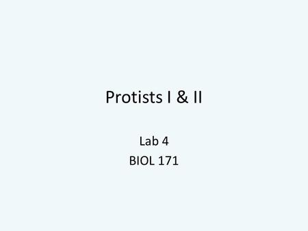 Protists I & II Lab 4 BIOL 171. Remember!: Classification System.