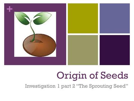Investigation 1 part 2 “The Sprouting Seed”
